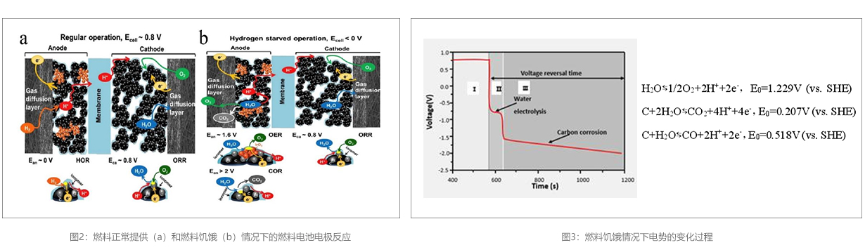 官网详qing图模板2.3.jpg